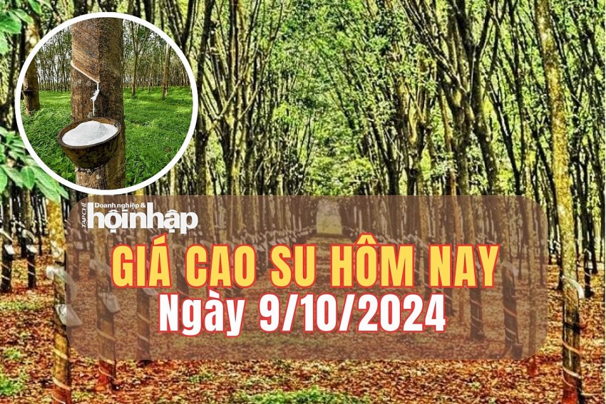 Giá cao su hôm nay 9/10/2024: Giá cao su tại SHFE tăng 0,80%, ở mức 16.425 NDT/tấn Giá cao su hôm nay 9/10/2024: Giá cao su tại SHFE tăng 0,80%, ở mức 16.425 NDT/tấn