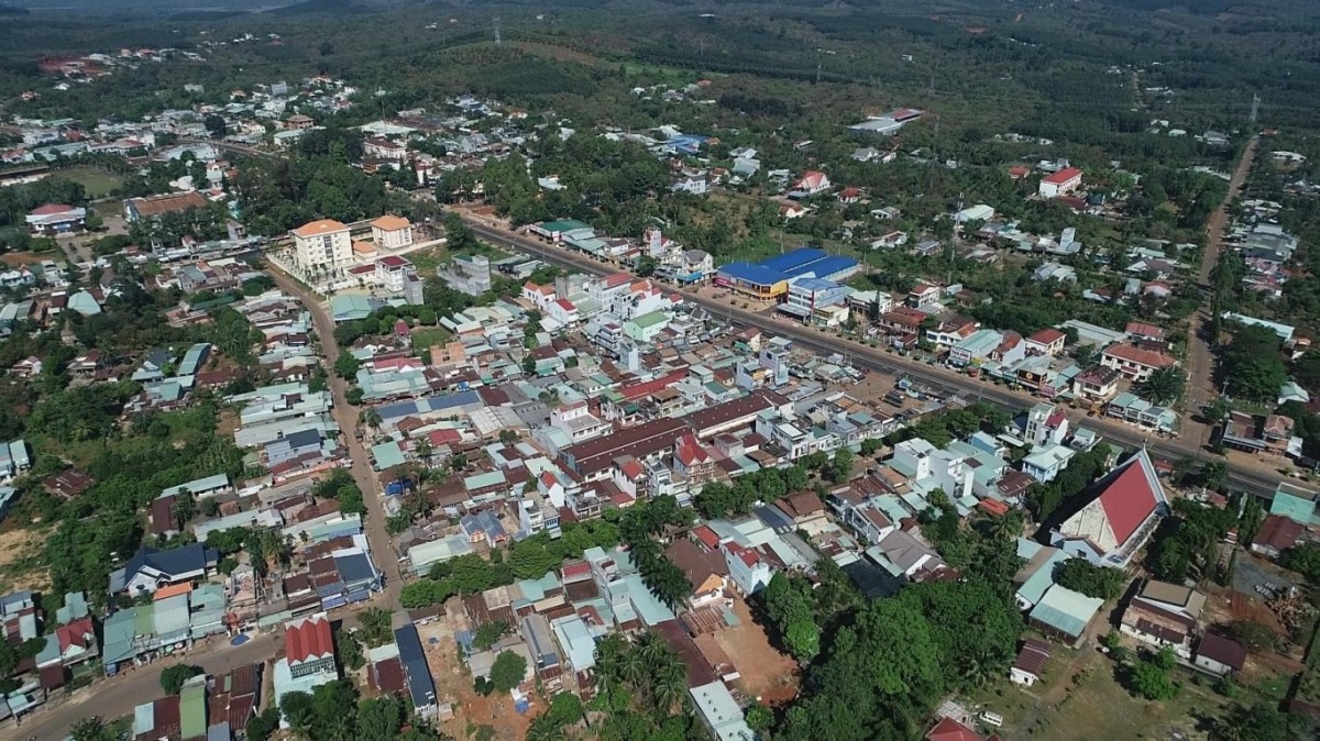 Lễ hội 