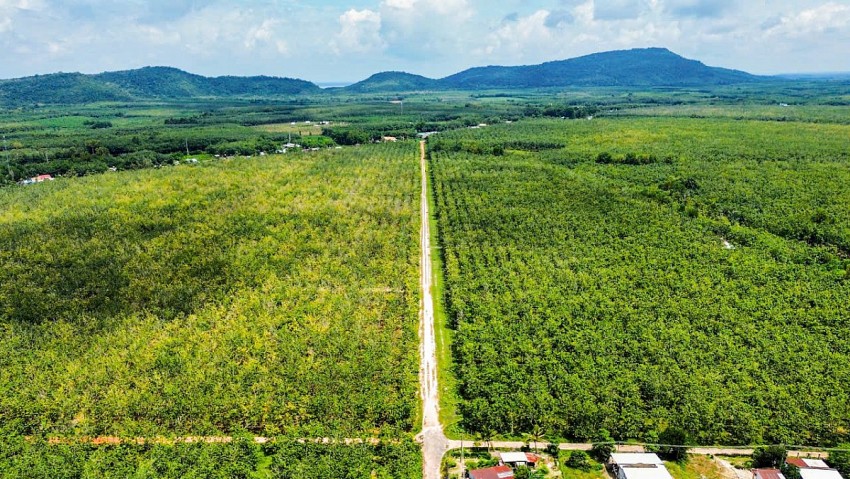 Bình Dương ra điều kiện lựa chọn nhà đầu tư thực hiện dự án có sử dụng đất