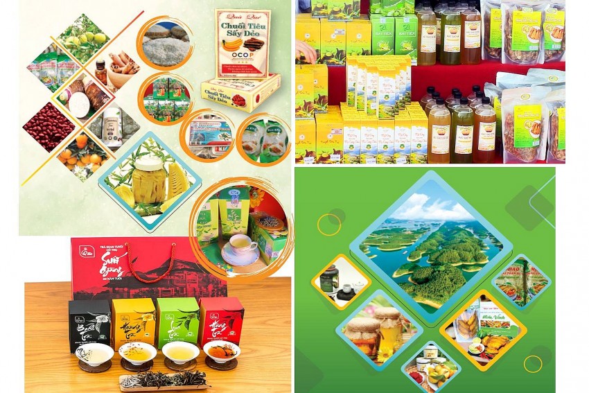 Yên Bái: Phát triển kinh tế tập thể góp phần thúc đẩy tăng trưởng kinh tế, giải quyết việc làm, xóa đói giảm nghèo trên địa bàn tỉnh Yên Bái: Phát triển kinh tế tập thể góp phần thúc đẩy tăng trưởng kinh tế, giải quyết việc làm, xóa đói giảm nghèo trên địa bàn tỉnh