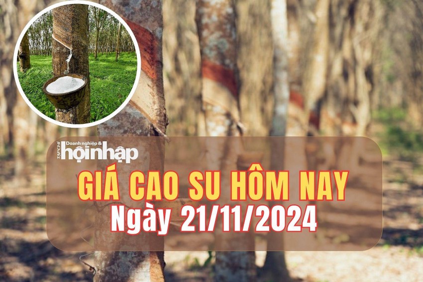 Giá cao su hôm nay 21/11/2024: Giá cao su hôm nay 21/11/2024: