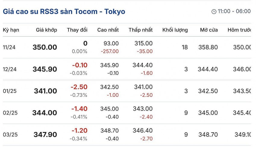 Giá cao su hôm nay 21/11/2024: Giá cao su hôm nay 21/11/2024: