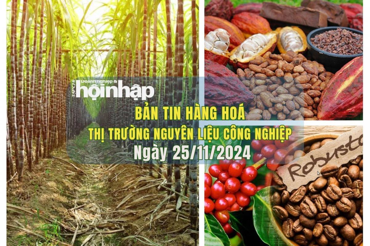 Thị trường nguyên liệu công nghiệp 25/11: Dự báo giá cà phê tăng, đường giảm và ca cao ổn định Thị trường nguyên liệu công nghiệp 25/11: Dự báo giá cà phê tăng, đường giảm và ca cao ổn định