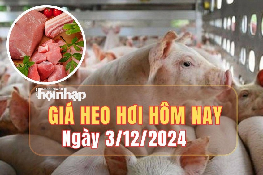 Giá heo hơi hôm nay 3/12/2024: