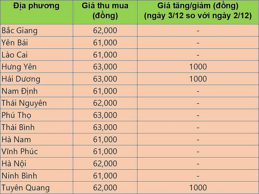 Giá heo hơi hôm nay 3/12/2024: