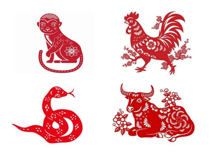 Tử vi - Vận số ngày 12/01/2025: người tuổi Dậu có một ngày thuận lợi, đặc biệt là trong tài chính và công việc