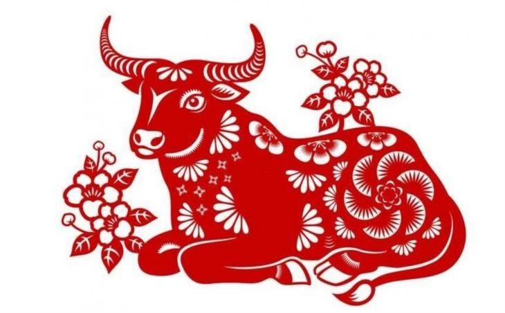 Tử vi 12 con giáp hôm nay ngày 12/6/2025 tuổi Sửu