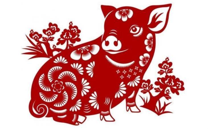 Tử vi 12 con giáp hôm nay ngày 12/6/2025 tuổi Hợi