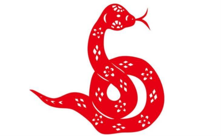 Tử vi 12 con giáp hôm nay ngày 12/8/2025 tuổi Tỵ