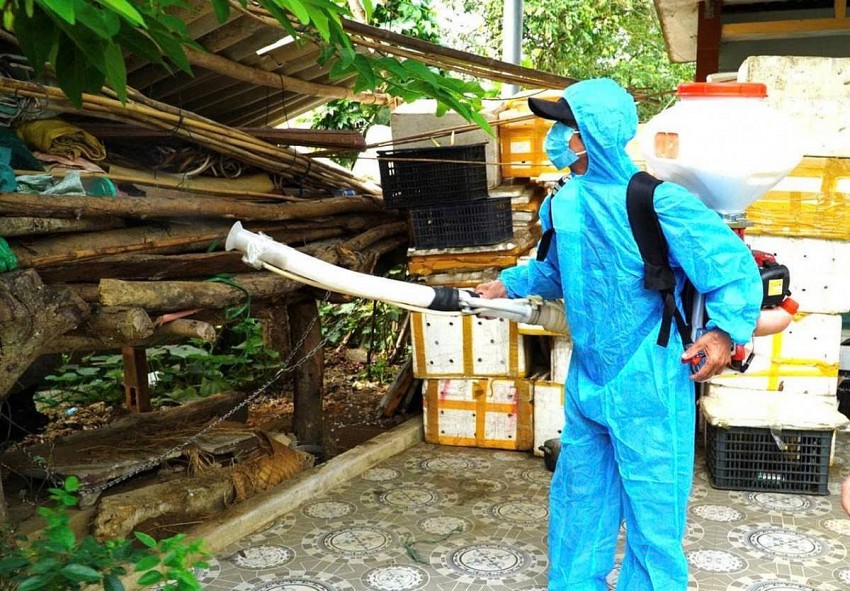 Phát triển hệ thống Y tế Quảng Bình  theo hướng công bằng, hiệu quả, chất lượng và bền vững Phát triển hệ thống Y tế Quảng Bình theo hướng công bằng, hiệu quả, chất lượng và bền vững