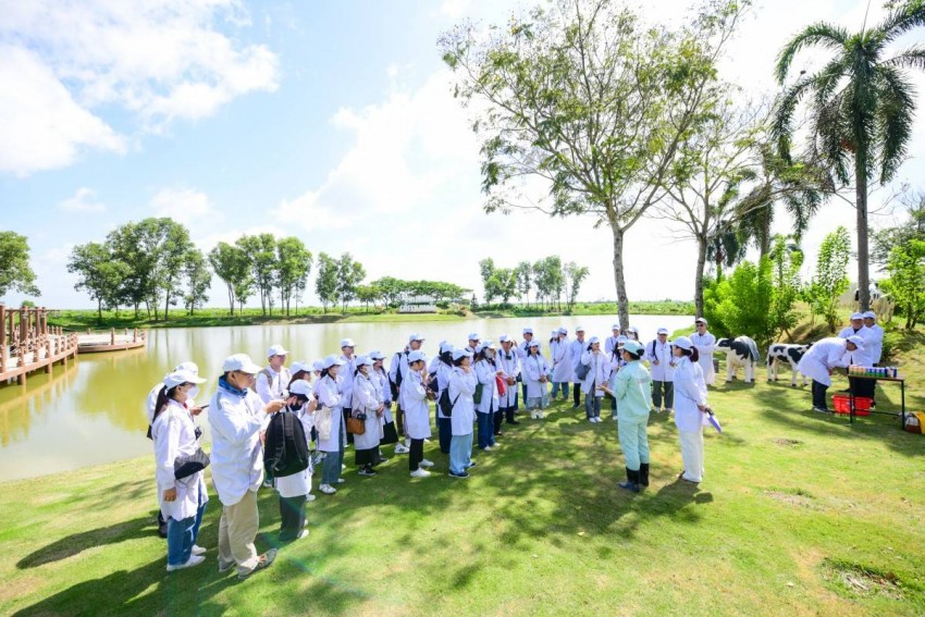 Trang trại Vinamilk Green Farm dưới lăng kính phát triển bền vững có gì đặc biệt? Trang trại Vinamilk Green Farm dưới lăng kính phát triển bền vững có gì đặc biệt?