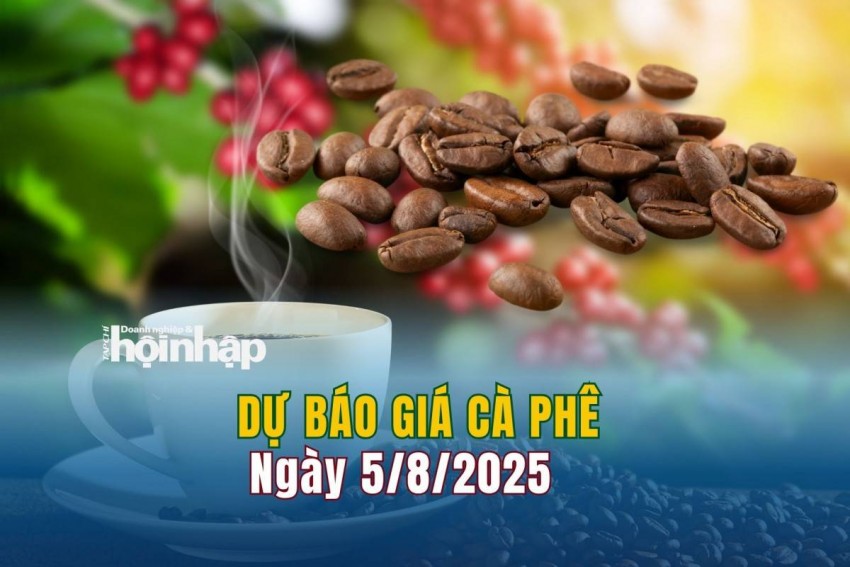 Dự báo giá cà phê 5/8/2025
