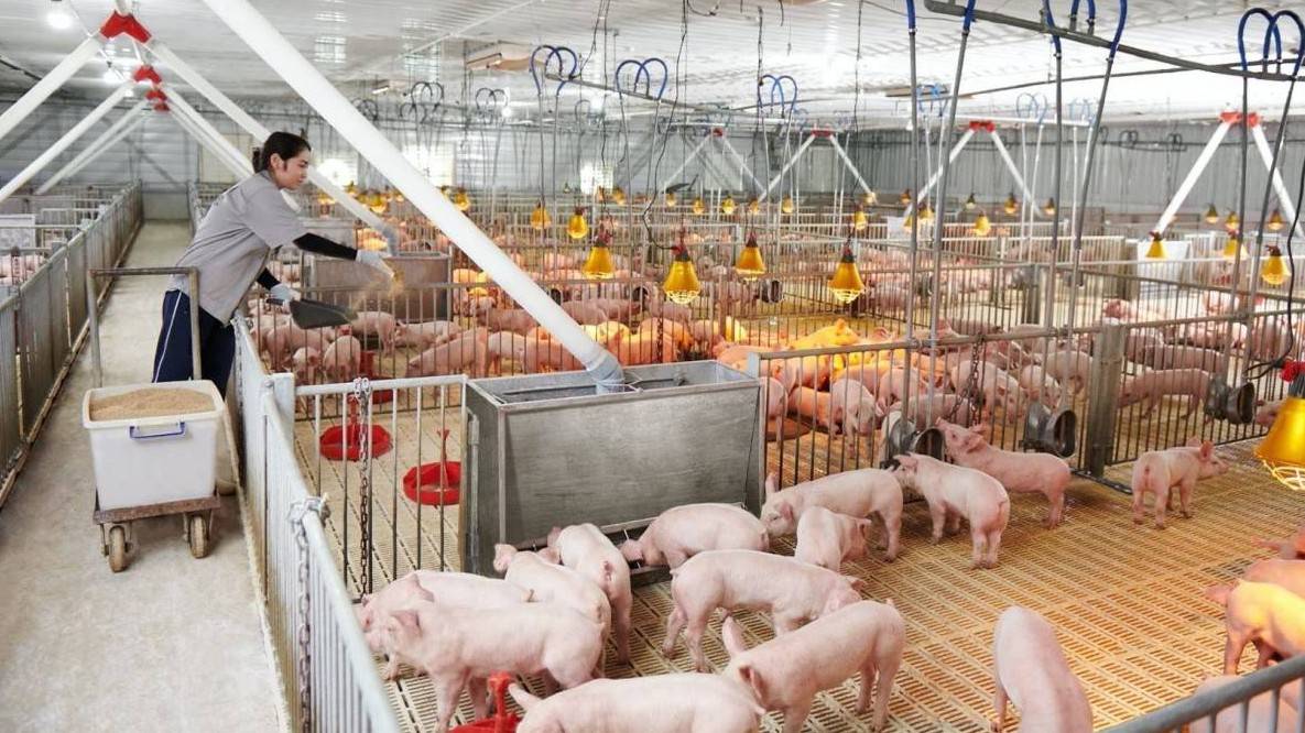 Hé lộ mức giá cổ phiếu IPO của Nông nghiệp Hòa Phát