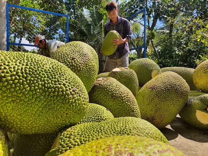 Chuỗi liên kết Việt - Trung mở rộng: Trái cây Việt thêm đường vào thị trường tỷ dân