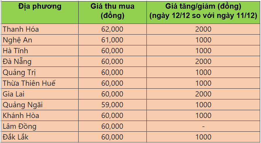Bảng giá heo hơi tại miền Trung - Tây Nguyên hôm nay 12/12/2025