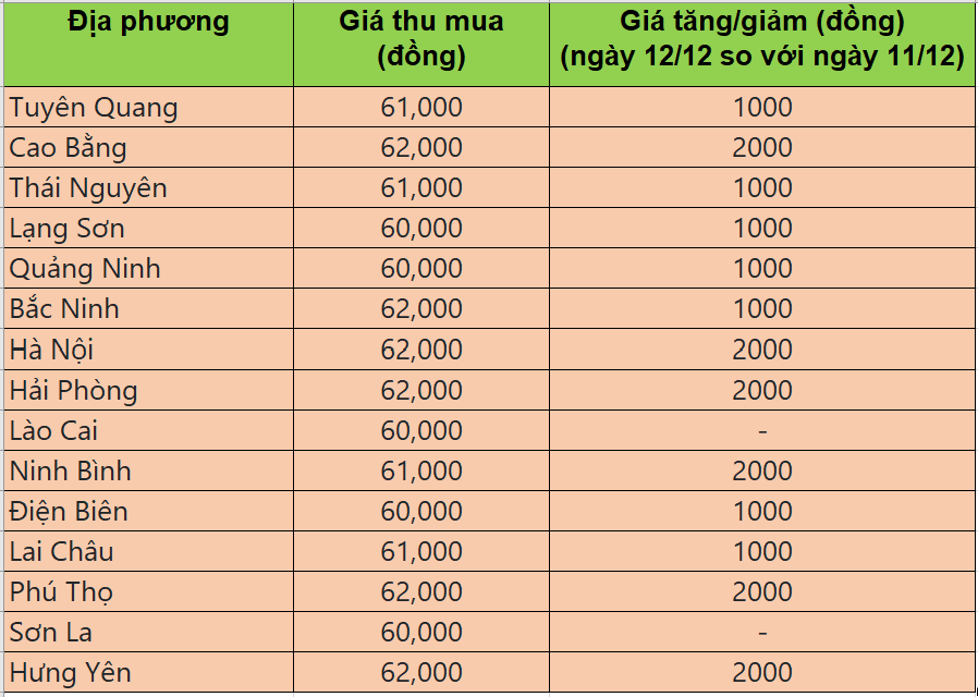 Bảng giá heo hơi tại miền Bắc hôm nay 12/12/2025