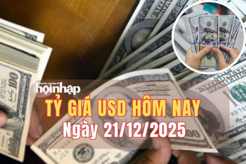 Tỷ giá USD hôm nay 21/12/2025: Đồng USD ổn định 