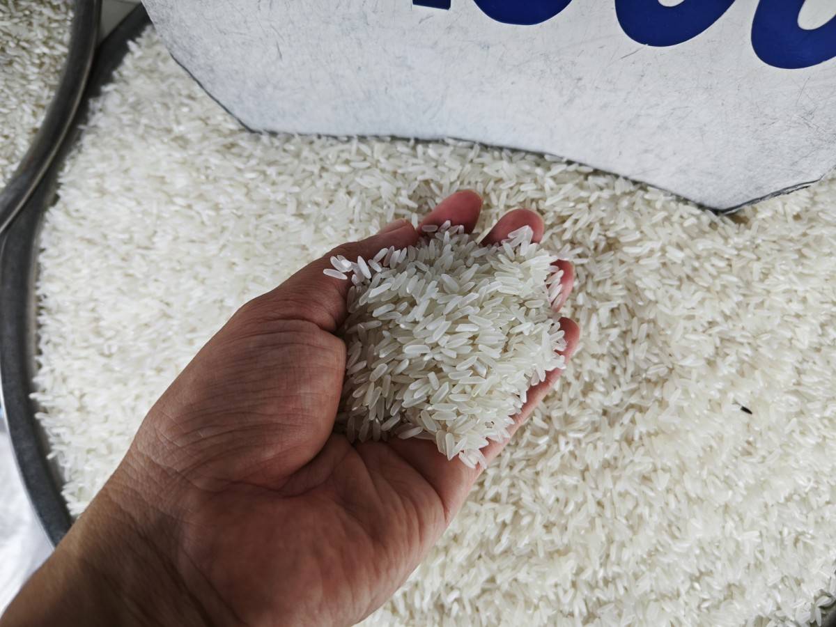 Hơn 380 tấn gạo thơm Việt Nam được cấp chứng nhận xuất khẩu sang EU