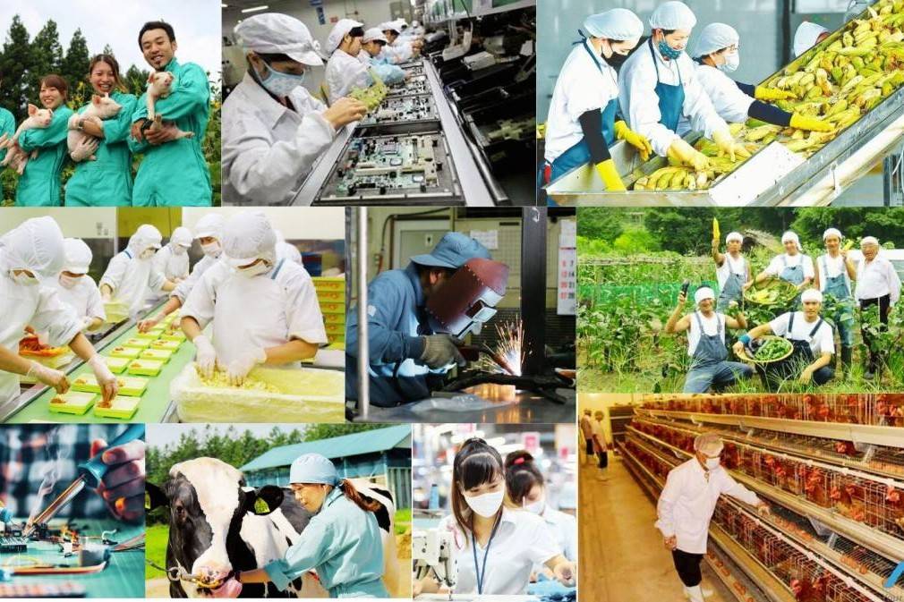 Doanh nghiệp Việt kiến nghị 7 giải pháp “vượt bão” Trung Đông