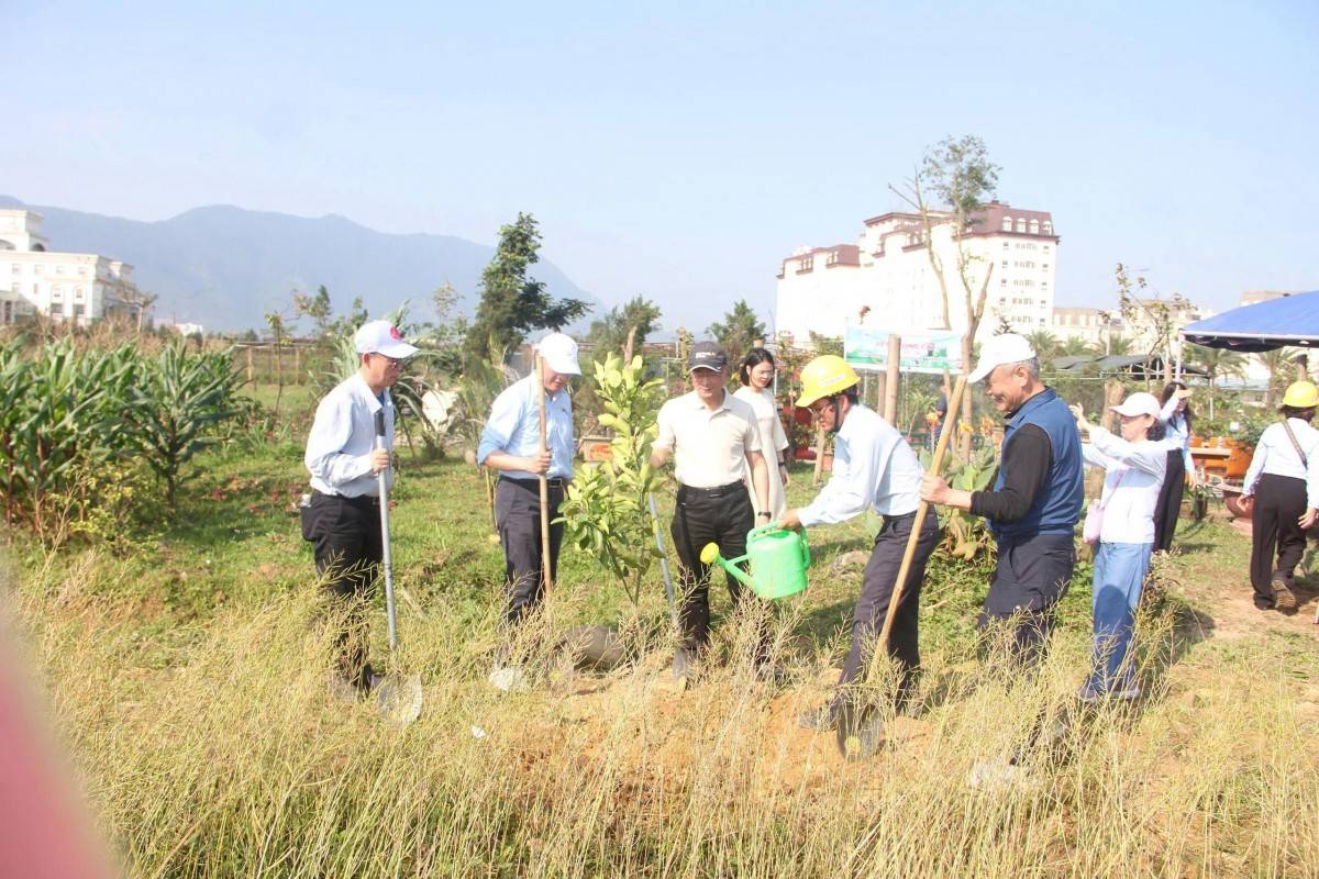 Tính đến cuối năm 2025, công ty Formosa Hà Tĩnh đã trồng mới 75.000 cây xanh các loại.