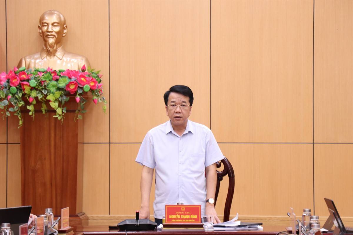 Chủ tịch UBND tỉnh phát biểu tại hội nghị