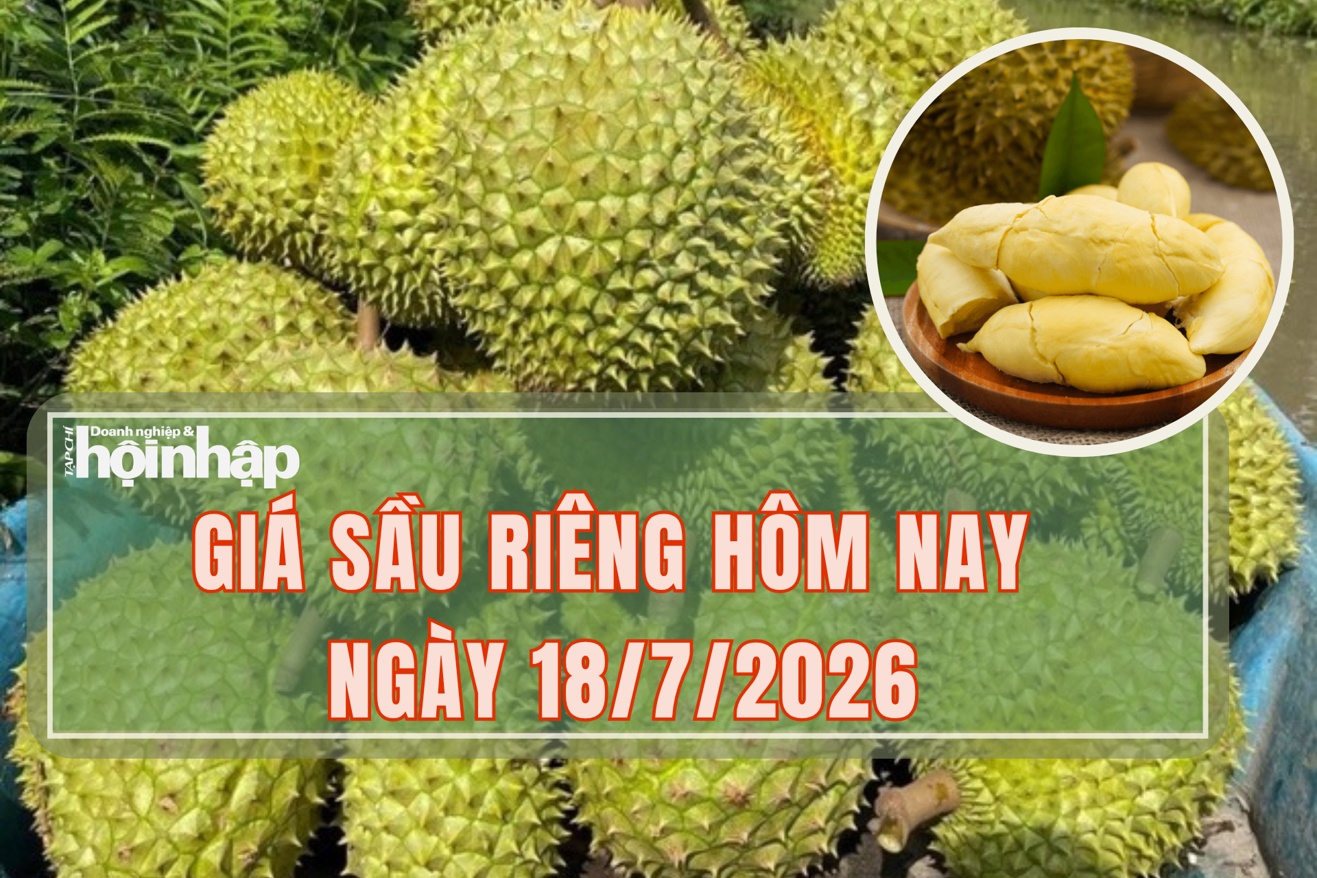 Giá sầu riêng hôm nay 18/7: Sầu riêng khu vực Đắk Lắk đang có những dấu hiệu tích cực