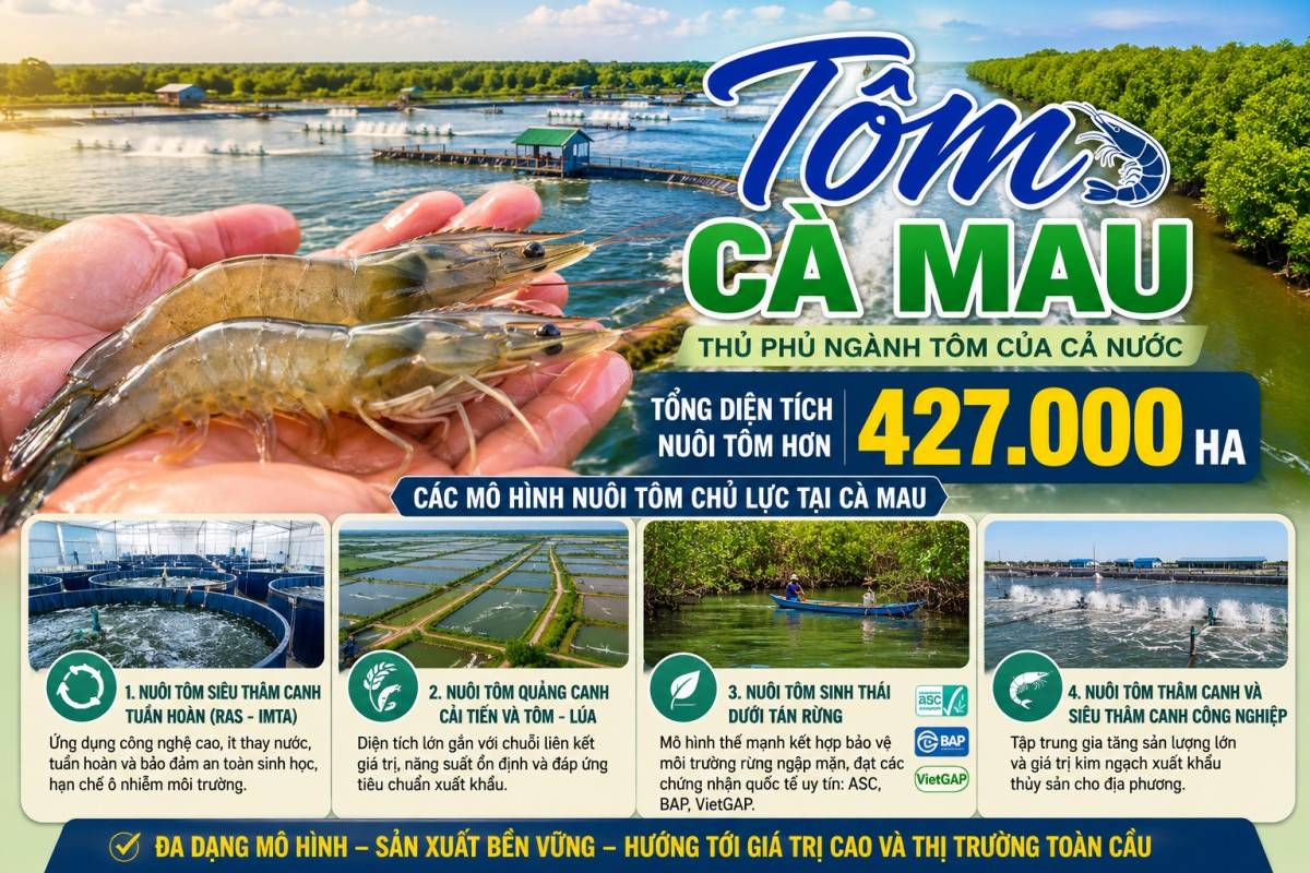 Cà Mau mở rộng hợp tác quốc tế nâng giá trị ngành tôm