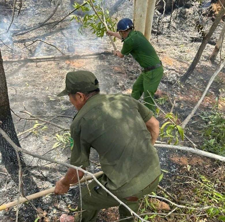 Sau gần 10 giờ nỗ lực chiến đấu với giặc lửa trong điều kiện địa hình núi cao hiểm trở và gió mạnh, 530 cán bộ, chiến sĩ cùng lực lượng chức năng đã khống chế hoàn toàn vụ cháy rừng phòng hộ tại phường Quy Nhơn Nam, bảo vệ an toàn cho khu vực lân cận.