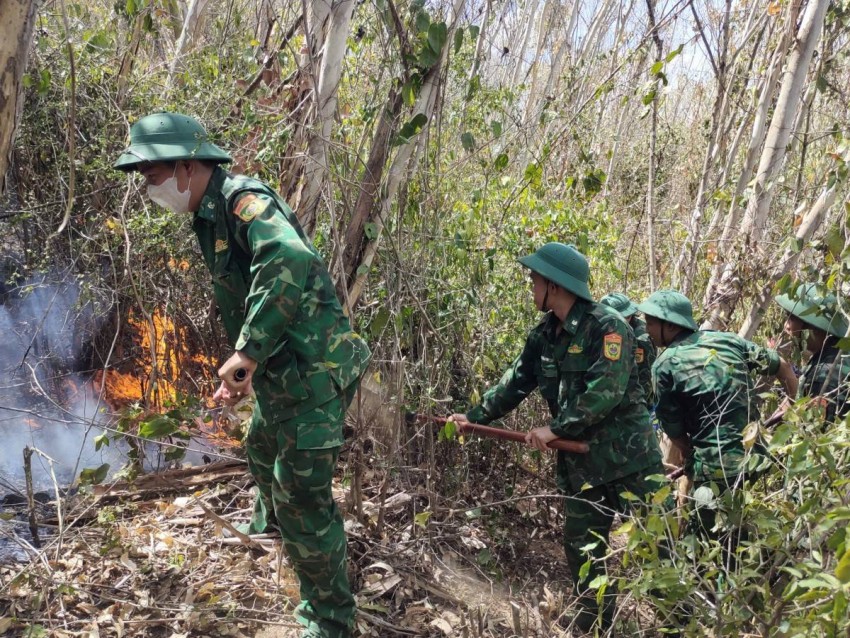 Tại hiện trường, diện tích đám cháy ghi nhận khoảng 4,2 ha.