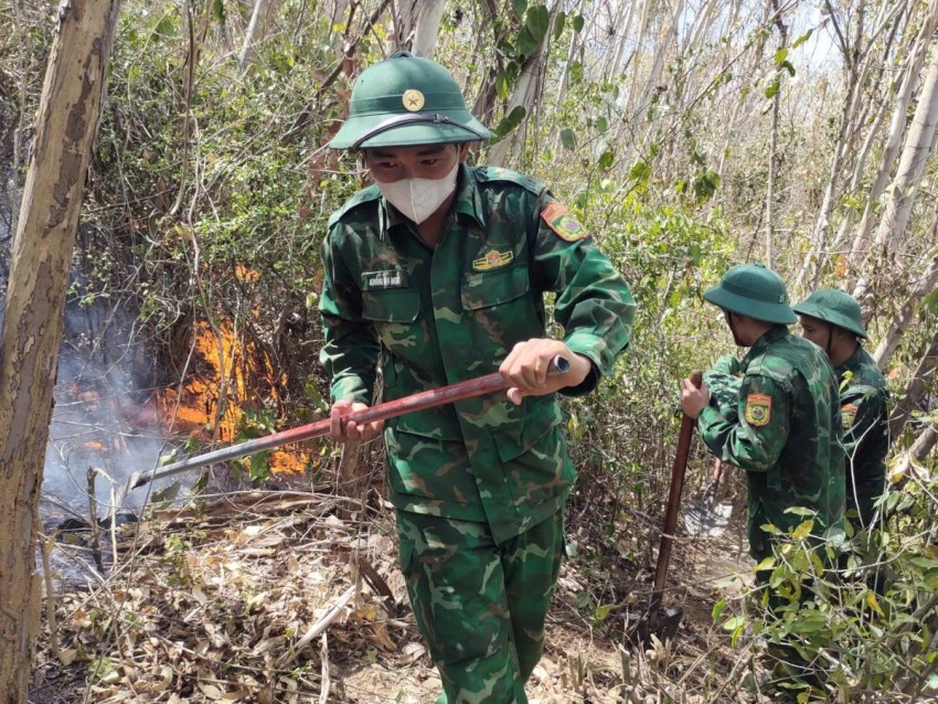 Việc khống chế kịp thời đám cháy đã góp phần bảo vệ diện tích rừng phòng hộ, các công trình hạ tầng và khu dân cư lân cận, hạn chế nguy cơ thiệt hại có thể xảy ra.