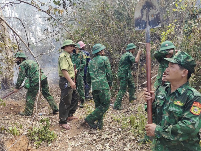 Khu vực rừng phòng hộ gần Nghĩa trang Phật giáo (thuộc tổ 18, khu phố 13, phường Quy Nhơn Nam) đã bùng phát một vụ cháy thảm thực bì nghiêm trọng. 