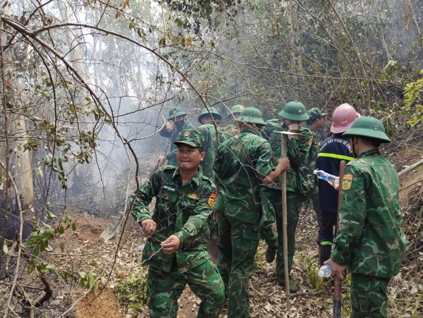 Các lực lượng được huy động gồm Phòng Cảnh sát PCCC và CNCH Công an tỉnh, Trung đoàn Bộ binh 739 (Bộ CHQS tỉnh), Hạt Kiểm lâm khu vực Tuy Phước - Quy Nhơn, Đồn Biên phòng Cửa khẩu cảng Quy Nhơn và Đại đội TSCG1/PTM.