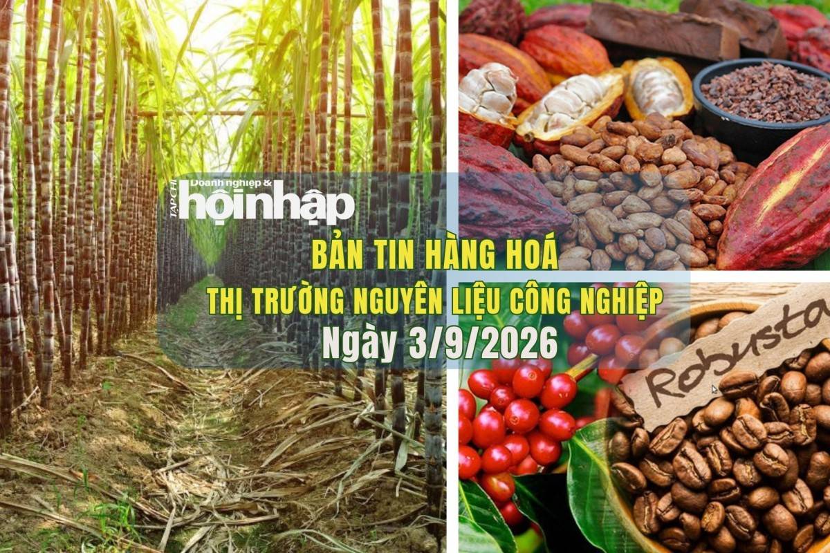Thị trường nguyên liệu công nghiệp 2/9/2026: