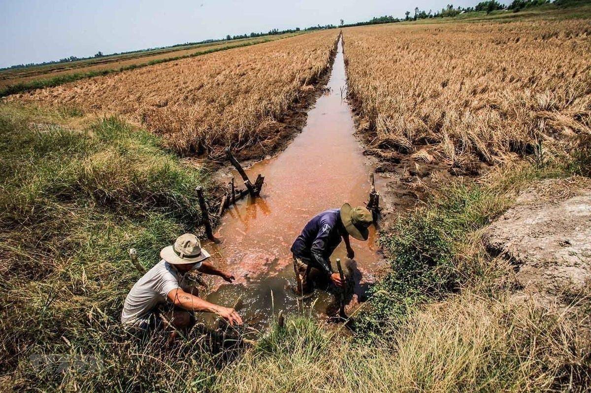 Trước những cú sốc thiên tai: Mở rộng vai trò Quỹ bảo hiểm thất nghiệp