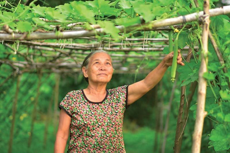 Kinh tế bạc, cơ hội tăng trưởng từ xã hội đang già đi